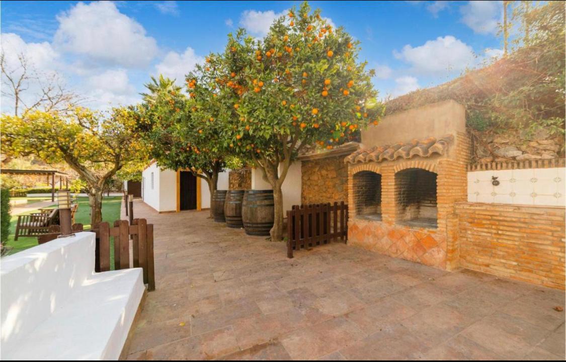 Cortijo Andaluz Dona Adela Guest House Almería Exterior foto