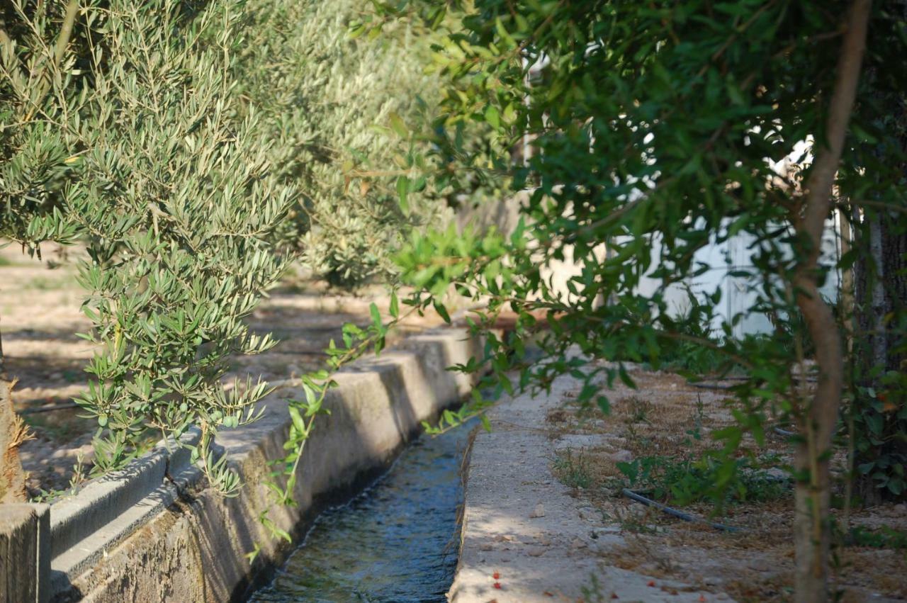 Cortijo Andaluz Dona Adela Guest House Almería Exterior foto